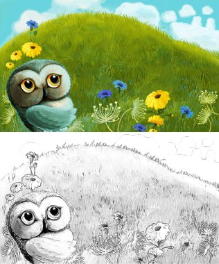 Çayırda hayvan kuş baykuşunun olduğu karikatür sahnesi - çocuklar için çizim