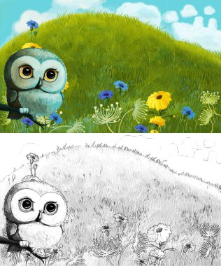 Çayırda hayvan kuş baykuşunun olduğu karikatür sahnesi - çocuklar için çizim
