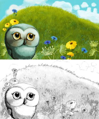 Çayırda hayvan kuş baykuşunun olduğu karikatür sahnesi - çocuklar için çizim