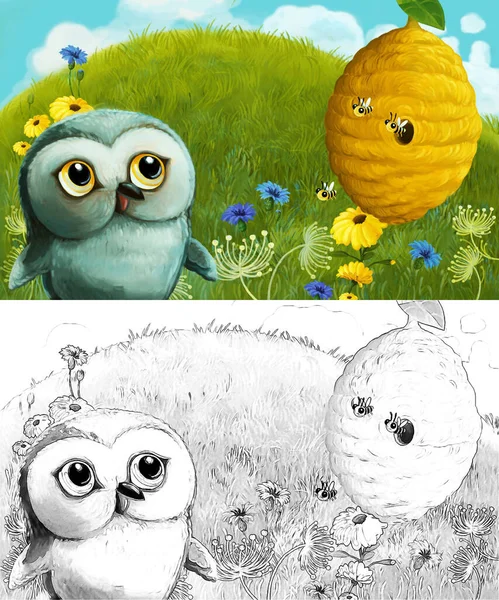Szkic Kreskówki Scena Zwierzętami Sowa Ptaków Łące Ilustracja Dla Dzieci — Zdjęcie stockowe