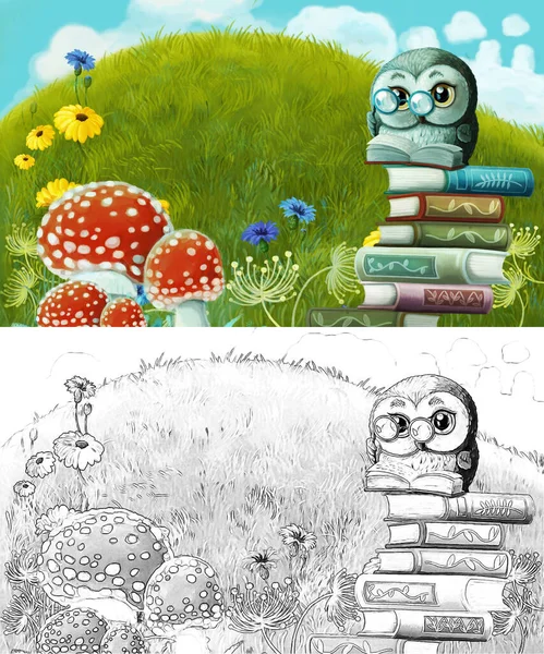 cartoon sketch scene with animal bird owl on the meadow - illustration for children