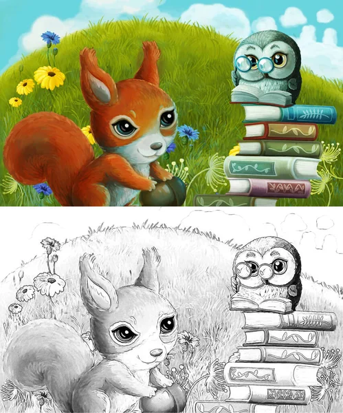cartoon sketch scene with animal rodent squirrel owl on the meadow - illustration for children