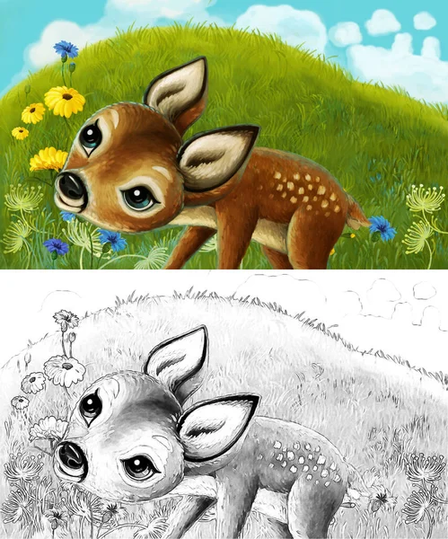 cartoon sketch scene with animal roe deer on the meadow - illustration for children
