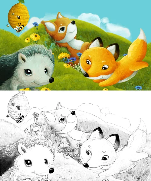 cartoon with sketch scene with sketch with forest animal on the meadow - illustration for children