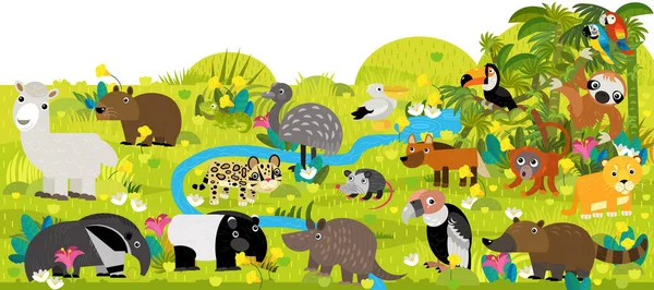 cartoon south america scene with animals by the pond illustration for children