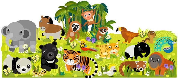 Desenho Animado Cena Com Asiáticos Animais Floresta Ilustração Para Crianças — Fotografia de Stock