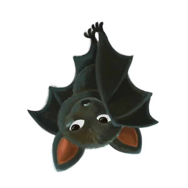 Cena Dos Desenhos Animados Com Animal Morcego Feliz Fundo Branco — Fotografia de Stock