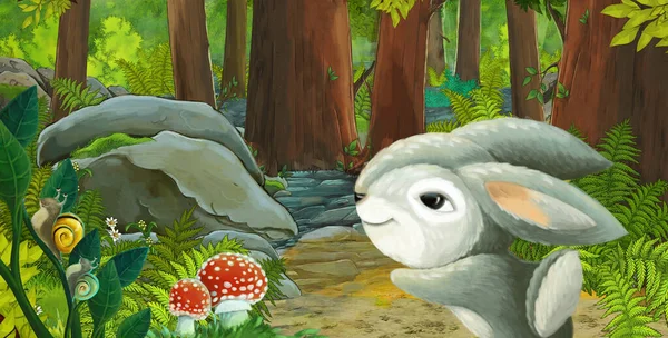 cartoon scene with friendly animal in the forest - illustration for children