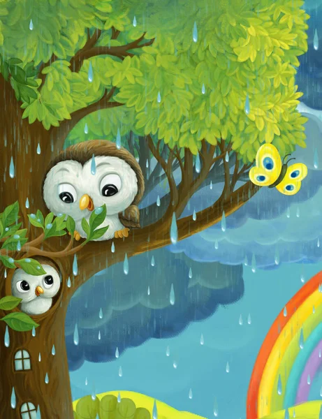 Kreskówka Deszczowa Scena Sowy Motyle Tęcza Ilustracja Dla Dzieci — Zdjęcie stockowe
