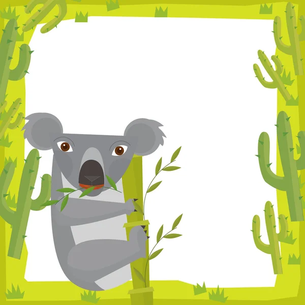 Koala bear in Cartoon frame — Stock Photo, Image