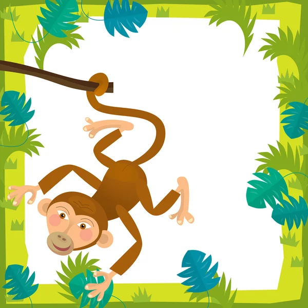 Mono en marco de dibujos animados — Foto de Stock