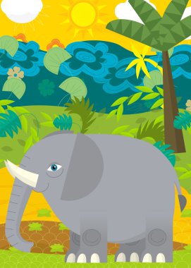 Vahşi fil illüstrasyon