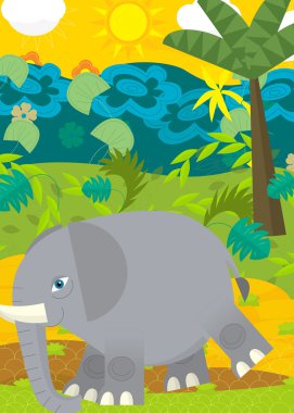 Vahşi fil illüstrasyon