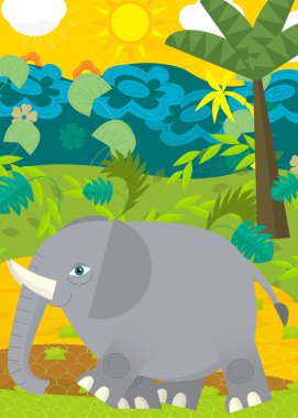 Vahşi fil illüstrasyon