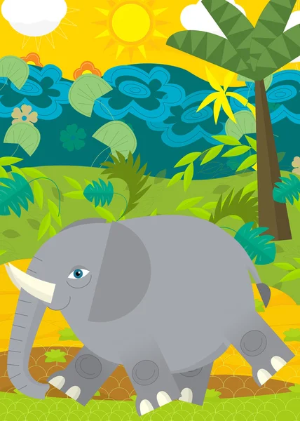 Ilustração do elefante selvagem — Fotografia de Stock