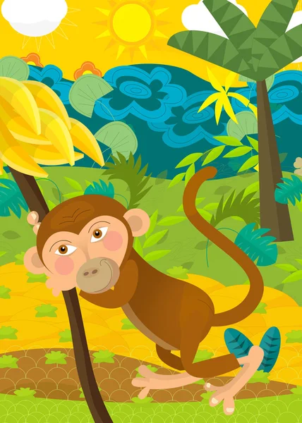 猿の図 — ストック写真