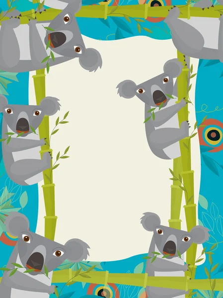 Koala in nature frame — Stock Photo, Image