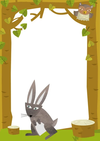 Tavşan doğa çerçeve içinde — Stok fotoğraf