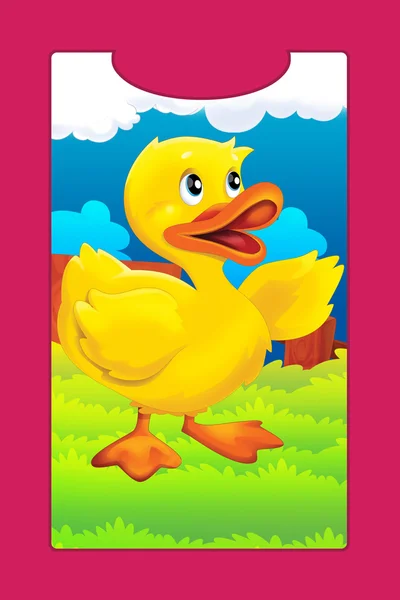 Cartoon farm animal - duck — Stock Photo, Image