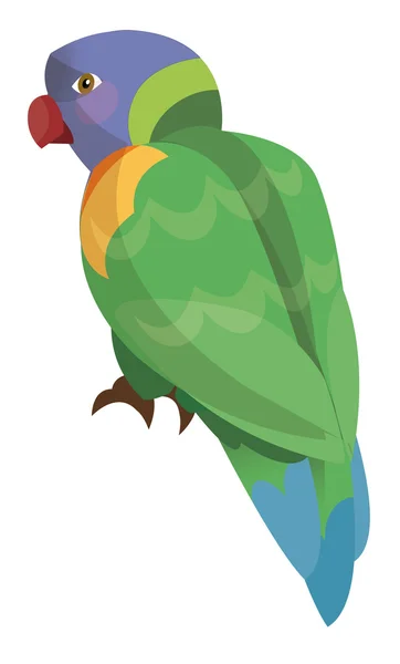 Cartoon parrot - rainbow lorikeet — Stock Photo, Image