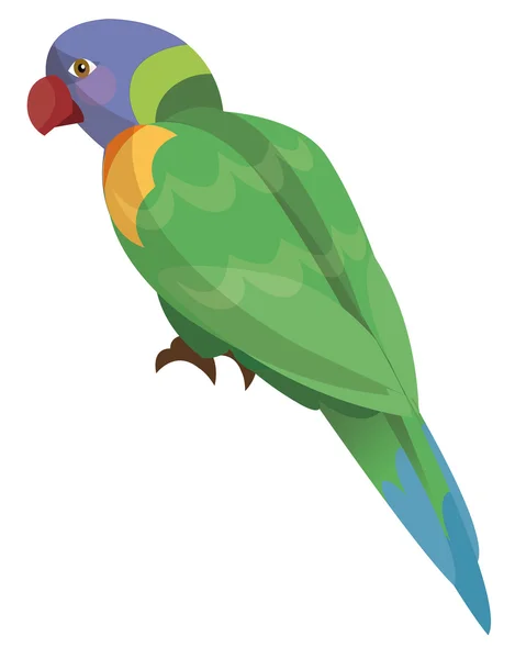 Rajzfilm papagáj - szivárványos lóri — Stock Fotó