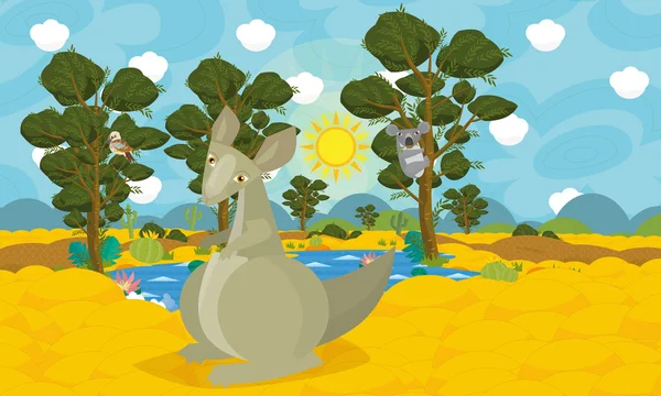 Cartoon australian animal scene - kangaroo — Stock Photo, Image