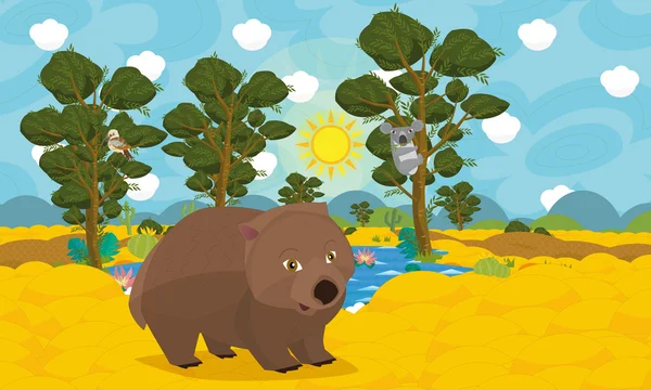 Cartoon australian animal scene - wombat — Stock Photo, Image