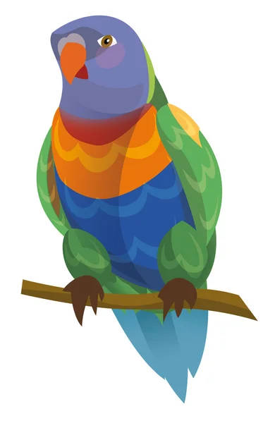 Cartoon parrot - rainbow lorikeet — Stock Photo, Image