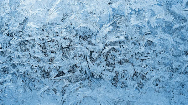 Pattern of ice on a window pane in winter. Spectacular drawing of crystals of frozen water. It looks like a thicket of magic plants. Abstract blue background or wallpaper. Backdrop for Christmas