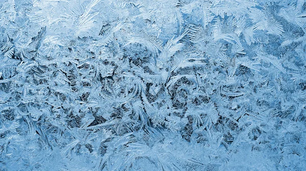 Kışın pencere camındaki buz deseni. Donmuş su kristallerinin muhteşem çizimi. Sihirli bitkilerden oluşan bir çalılığa benziyor. Soyut mavi arkaplan veya duvar kağıdı. Noel için arkaplan