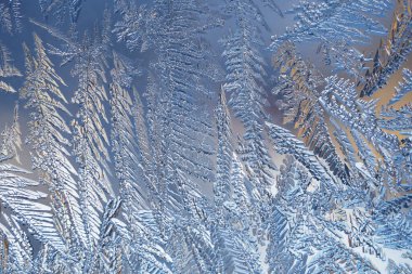 Mavi ve beyaz kış arkaplanı ya da duvar kağıdı. Kışın pencere camına buz kristalleri ve don çizmek. Sihirli fantastik bitkilerin yaprak ve gövdeleri. Soyut mistik arkaplan