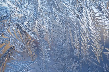 Güzel buz kristali arka planı. Açık mavi ve kahverengi kış duvar kağıdı. Pencere camında buzun doğal çizimi. Sihirli bitkilerin yaprak ve gövdeleri. Doygunluk ve kontrastın azaltılması. Makro