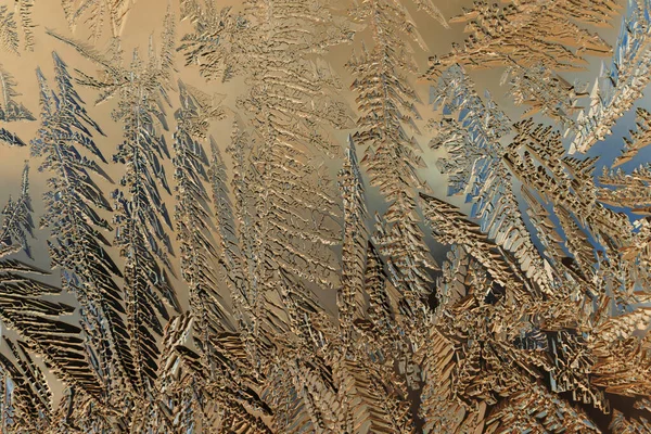 Fantazie Kresba Okenní Sklo Zimě Vzor Kouzelných Fantastických Rostlin Obrácené — Stock fotografie