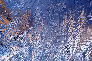 Fantezi buz kristali arka planı. Turuncu yansımalı mavi kış duvar kağıdı. Pencere camına buz çiziyorum. Sihirli fantastik bitkilerin yaprak ve gövdeleri. Soyut mistik arkaplan