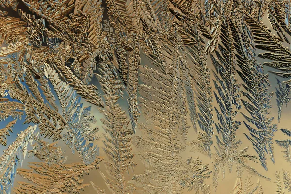 Fantázia Rajzolás Ablaküvegre Télen Varázslatos Fantasztikus Növények Mintája Fordított Világossárga — Stock Fotó