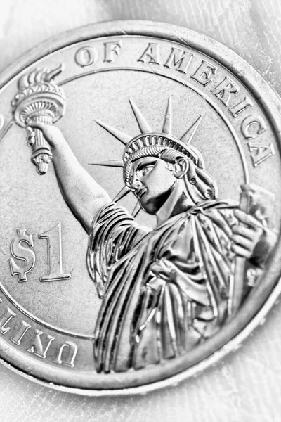 米国コインはヤシの上にあります 1ドル硬貨のクローズアップ ライトブラックとホワイトの縦イラスト 国家通貨 国家予算 連邦準備制度 インフレに関するニュース 自由の女神 マクロ — ストック写真