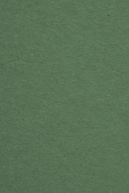 Koyu yeşil karton yüzeyi. Selüloz lifli kağıt dokusu. Dikey kağıt kaplama arka planı. Modern, fütüristik, zarif sonbahar rengi. Makro