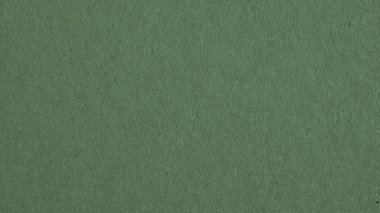 Koyu yeşil karton yüzeyi. Selüloz lifli kağıt dokusu. Kağıt duvar kağıdı ya da arka plan. Modern, fütüristik, zarif sonbahar rengi. Makro