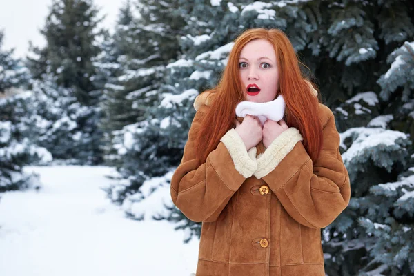 Mujer sorprendida invierno retrato al aire libre, fondo de abetos nevados — Foto de Stock