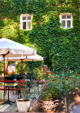 Yaz sokak kafe iç yeşil şehir Park, çiçekler ve dekoratif öğeler, beyaz şemsiye ile süslü