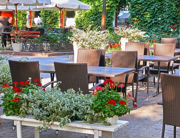 Yaz sokak kafe iç yeşil şehir Park, çiçekler ve dekoratif öğeler ile süslü — Stok fotoğraf