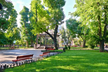 Merkezi şehir, yaz sezonu, parlak güneş ışığı ve gölgeler, güzel manzara, ev ve insanlar sokakta yeşil şehir parkında