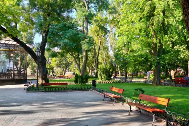 Merkezi şehir, yaz sezonu, parlak güneş ışığı ve gölgeler, güzel manzara, ev ve insanlar Caddesi üzerinde Şehir Parkı