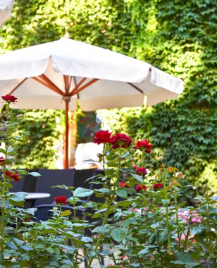 sokak kafe iç, açık çiçekler, çiçek ve dekoratif öğeler, beyaz şemsiye ile süslü odaklanmak