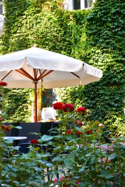 Yaz sokak kafe iç yeşil şehir Park, çiçekler ve dekoratif öğeler, beyaz şemsiye ile süslü