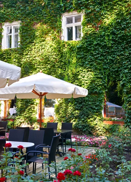 Летний уличный интерьер кафе с белым зонтиком в зеленом городском парке, украшенный цветами и декоративными элементами — стоковое фото