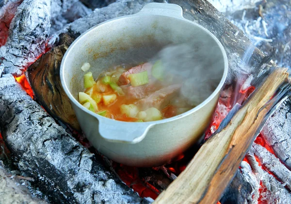 Vaření na ohni na piknik, jídlo připravené v konvici pouze na dřevo, brambory a rajčata, zdravé vegetariánské jídlo — Stock fotografie