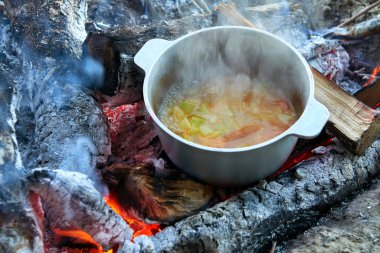 Yangın piknik, çaydanlığı koyayım ahşap, patates ve domates, sağlıklı Vejetaryen yiyecekler hazırlanan yemek pişirme