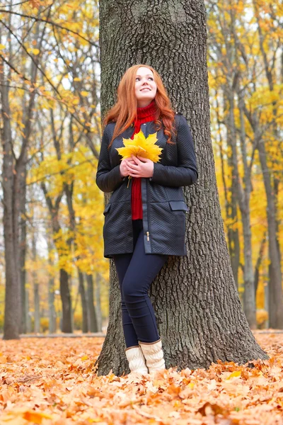 Dívka v podzimním lese udržet listy v rukou, stojí poblíž velký strom — Stock fotografie