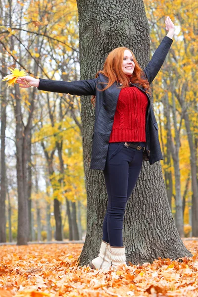 Dívka v podzimním lese udržet listy v rukou, stojí poblíž velký strom — Stock fotografie